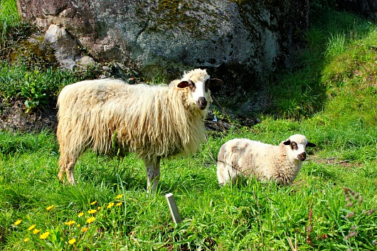 Destape De Alcantarillas, Tuberías, Desagües Y Cañerías