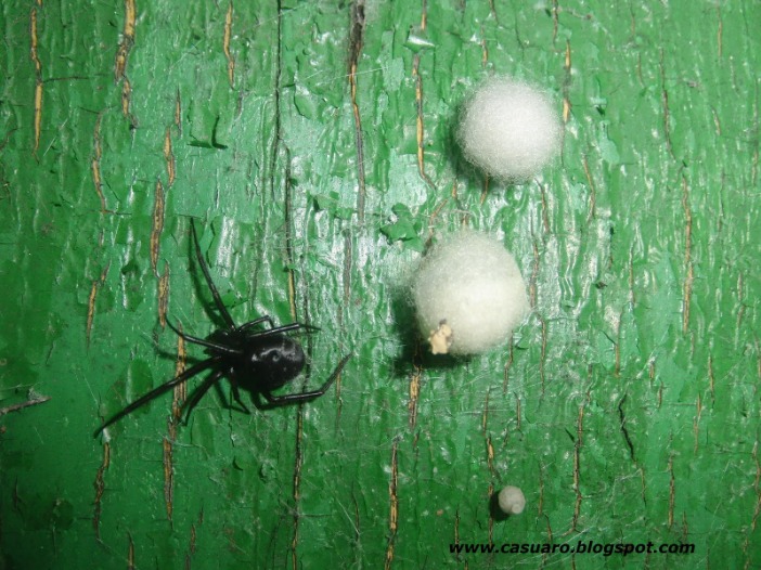 Limpieza De Alcantarillado Con Hidrojet