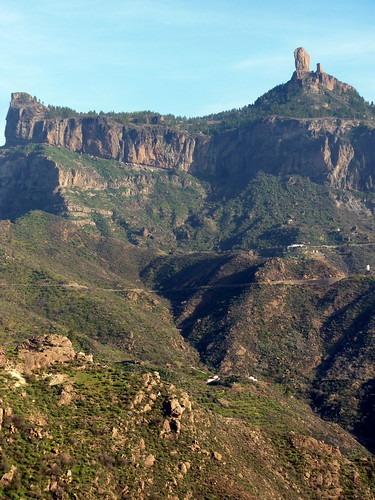 Destapa Cañerías 1 Litro