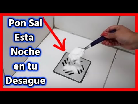 Cómo Limpiar Los Sifones De Baño: Consejos Para Mantener Tu Baño Impecable