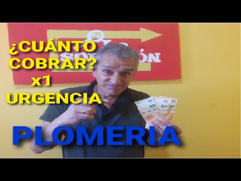 ¿cuánto Cuesta Un Servicio De Gasfitería? Guía De Precios 2024