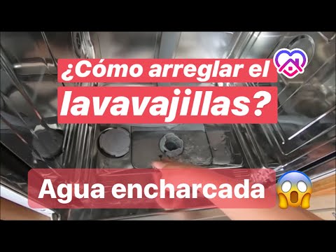 Destapar Lavaplatos: Trucos Con Soda Cáustica Tipos De Lavaplatos , Lavavajillas , Ventajas , Caracteristicas