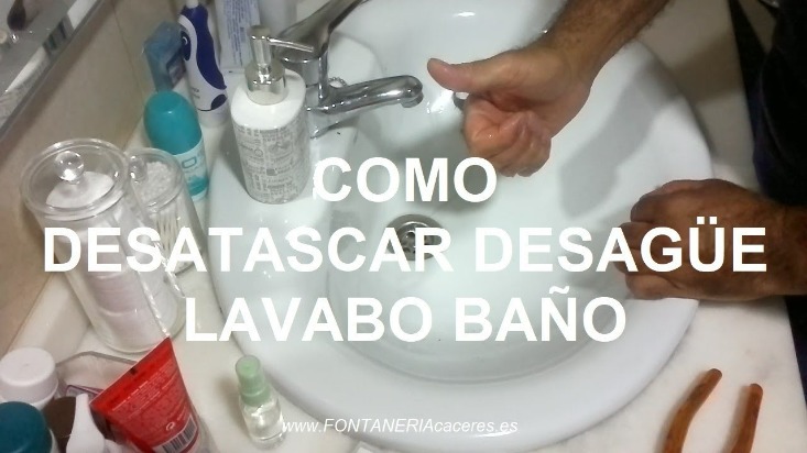 ¿cómo Evitar El Atasco De Pelos En La Ducha?