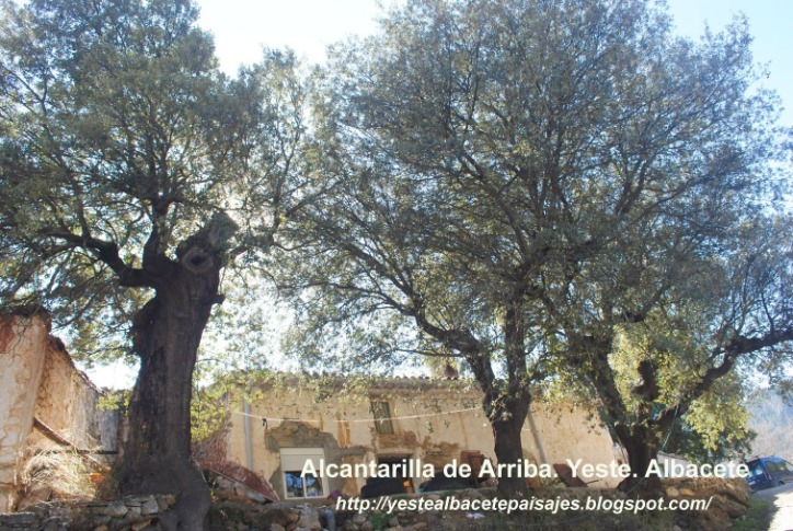 Destapa Cañerías Líquido 1 Litro Botella