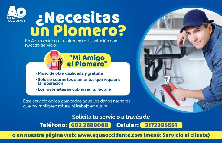 ¿está Buscando Un Plomero?