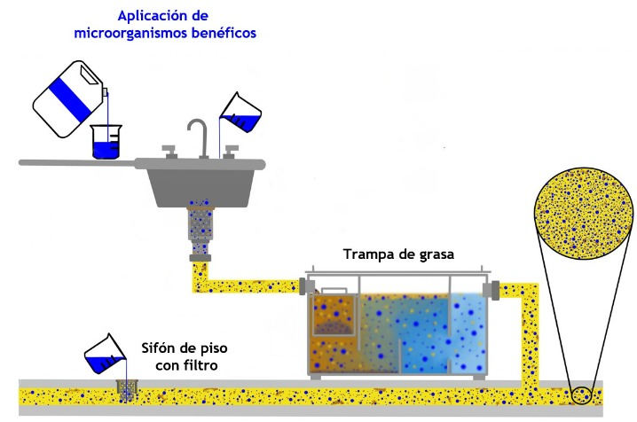 Kit Sos: Bacterias Para Destapar Pozo Y Fosas Sépticas 3kg Cuotas Sin Interés