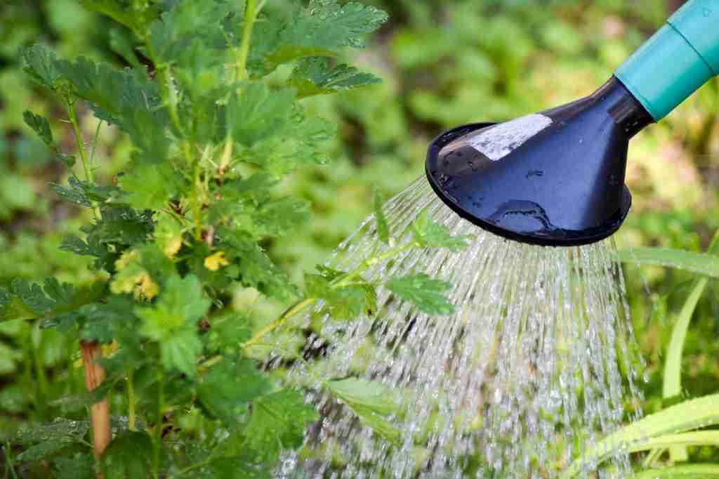 ¿por Qué No Sale Agua Caliente De La Ducha En El Segundo Piso? Habitissimo