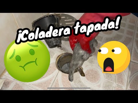 ¿cómo Destapar El Desagüe De La Ducha De Tu Baño?